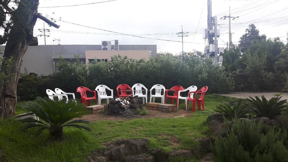 Jeojiri Tory's Dream