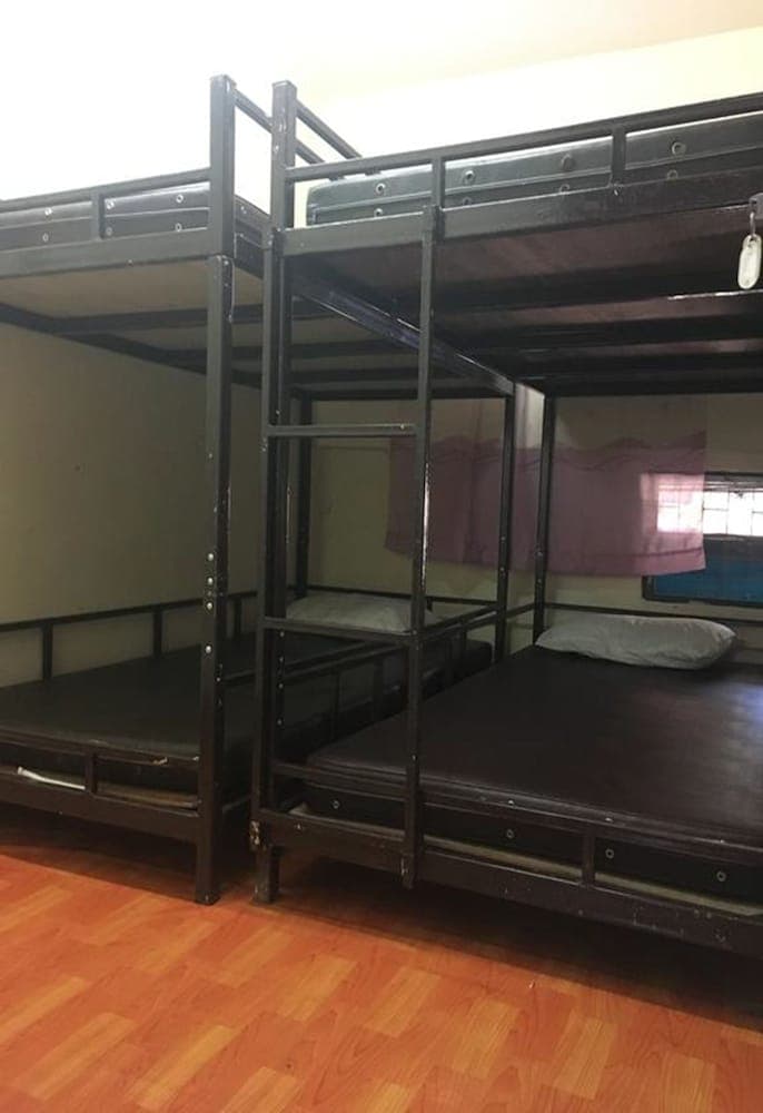 Mr.Jungle Trek House