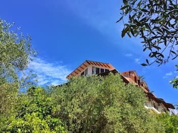 Margarita Apartments