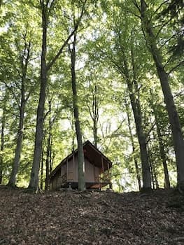 Anfasteröd Gårdsvik