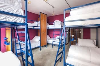 Selina Quito - Hostel