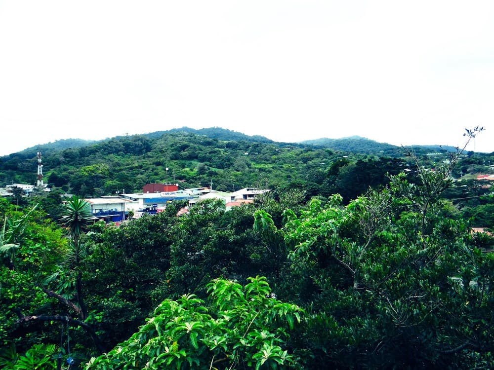 Hummingbird House B&B