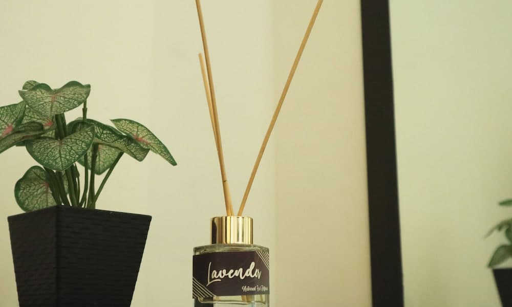 The Palms Resort & Bar