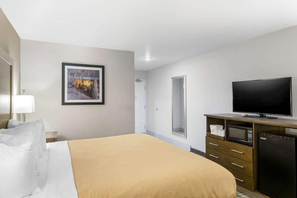 Quality Inn & Suites Carlsbad Caverns Area