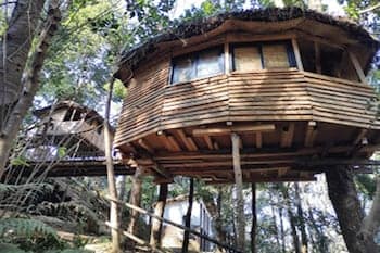 Bunjungle Adventures