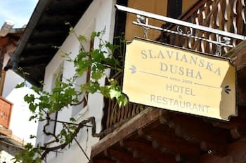 Family hotel Slavianska dusha