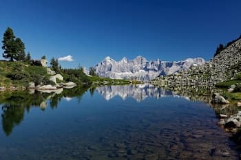 Cityhouse Apartments