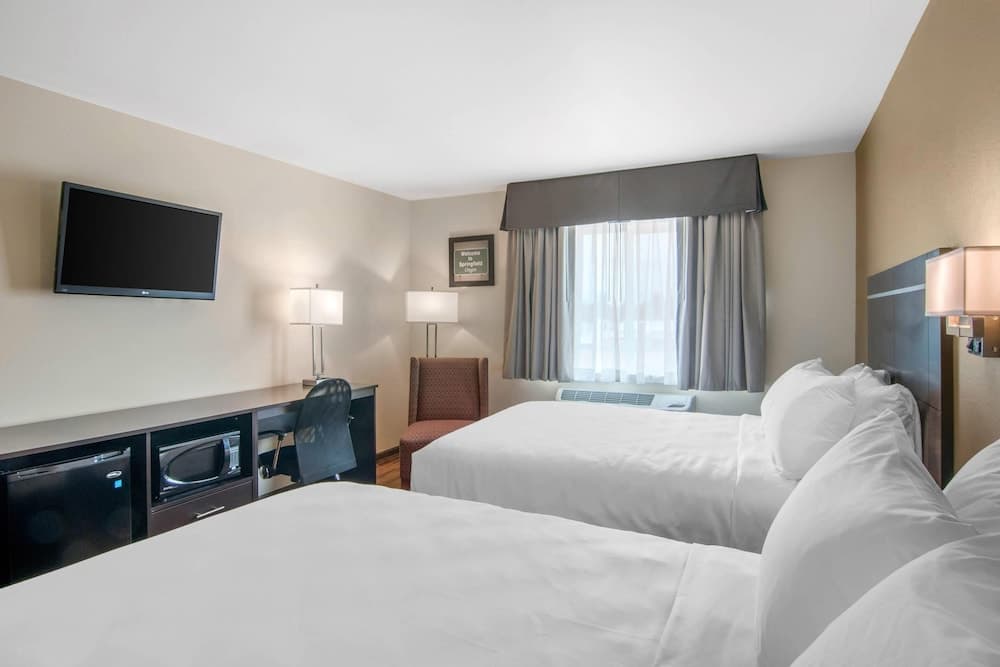 Econo Lodge Inn & Suites Springfield Main Street