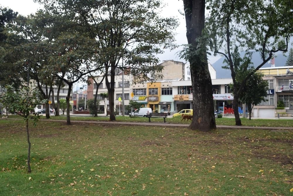 Cuartos en Apartamento en el Parkway