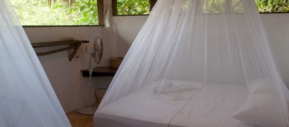 Yoga Shala - Adults Only