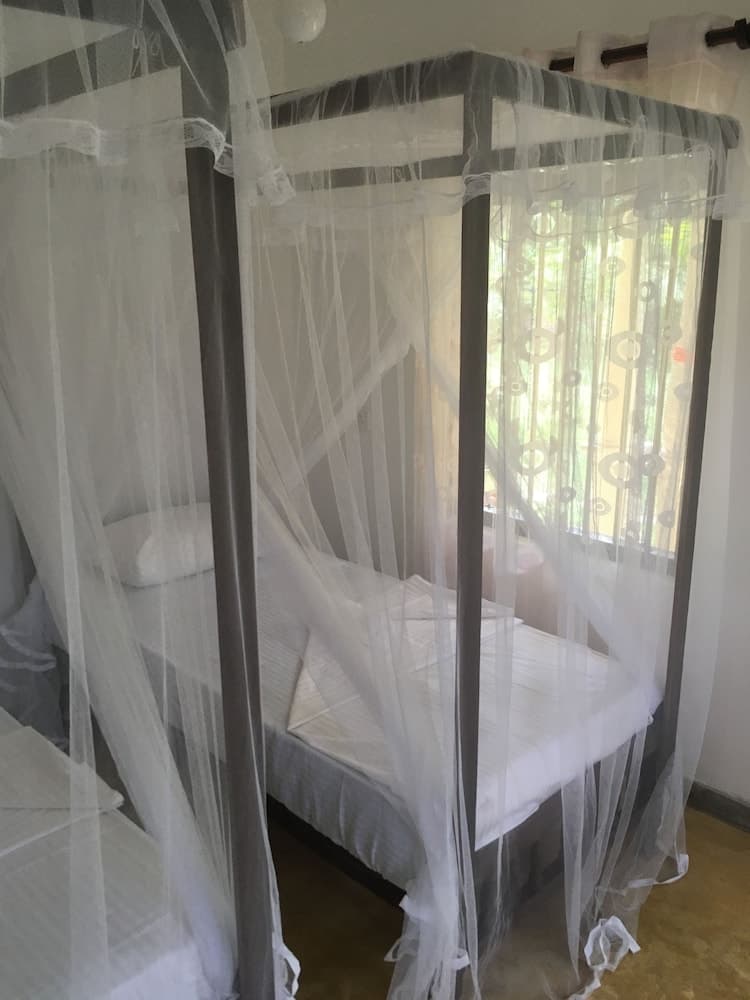 Villa Coconut - Hostel