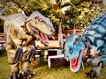 Villa From Okinawa, Condominium Resort