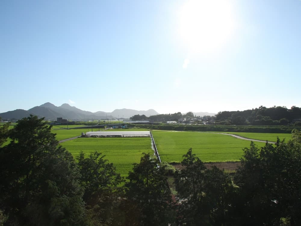 Izu Hatake Onsen Daisenya