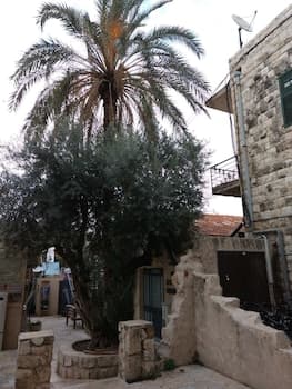 German Colony Guest House