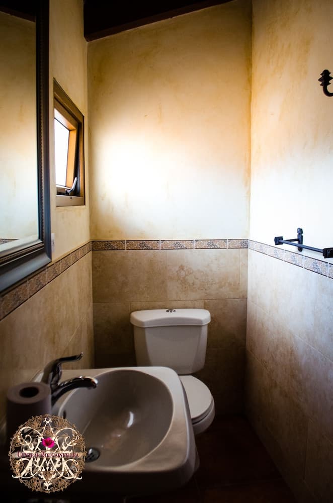 Central Bougainvillea