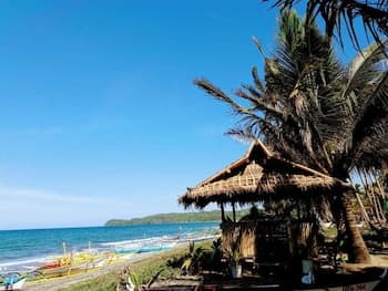 House of the Rising Sun