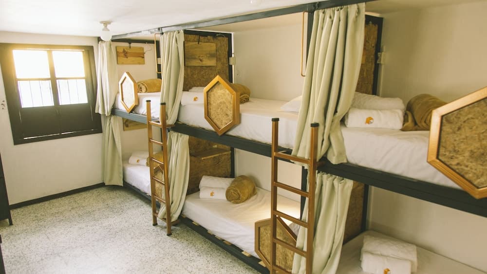 Panal Hostel and Studio Apartments