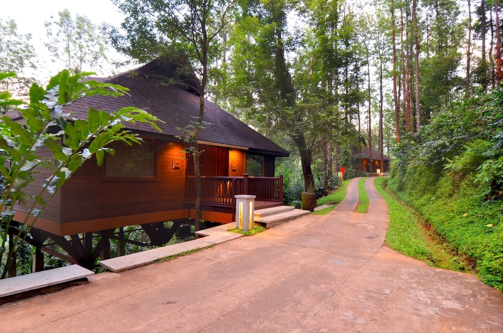 The Tamara Coorg