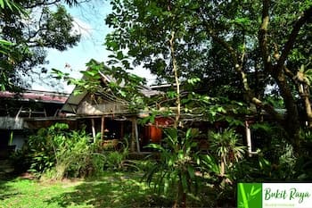 Bukit Raya Guesthouse