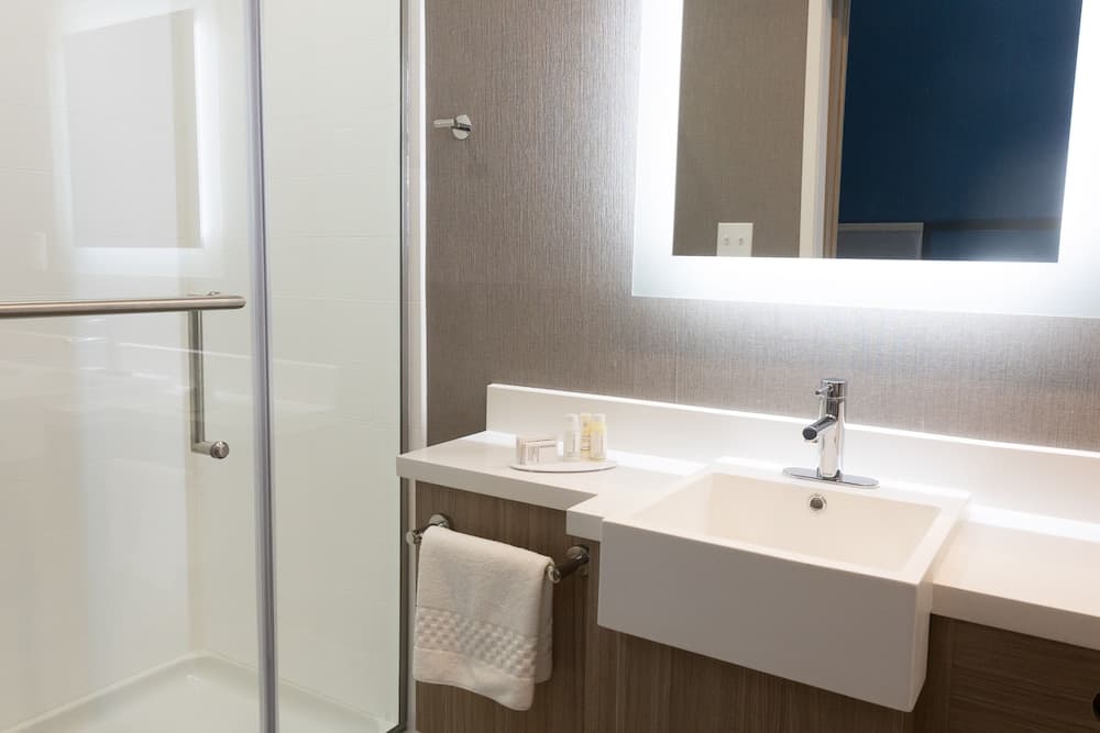 SpringHill Suites by Marriott Dallas McKinney/Allen