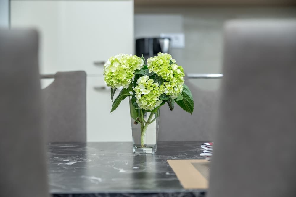 Luxury Apartments Kostrena