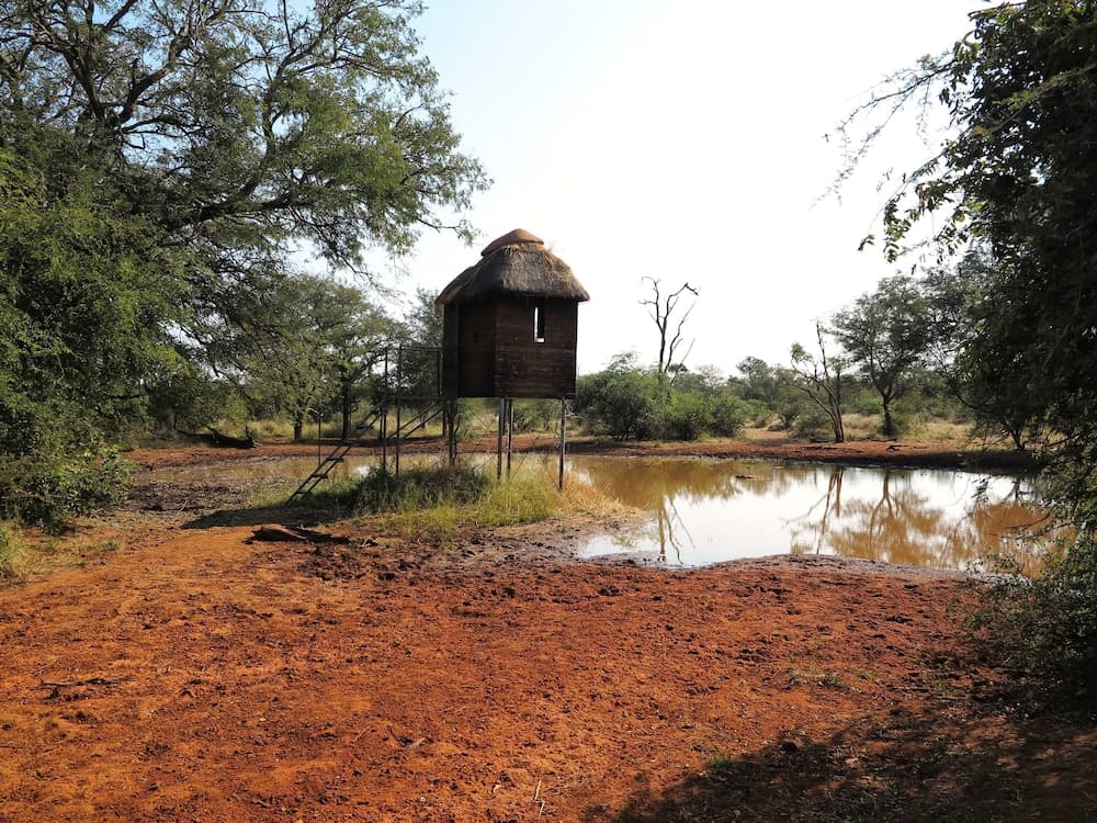 Zingela Nature Reserve - Leadwood Lodge