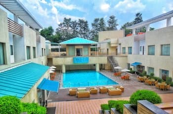 The Ocean Pearl Gardenia