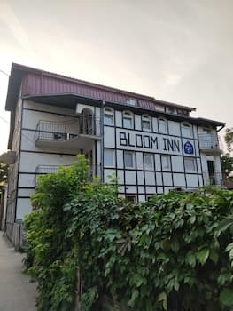 Bloom Inn - Hostel