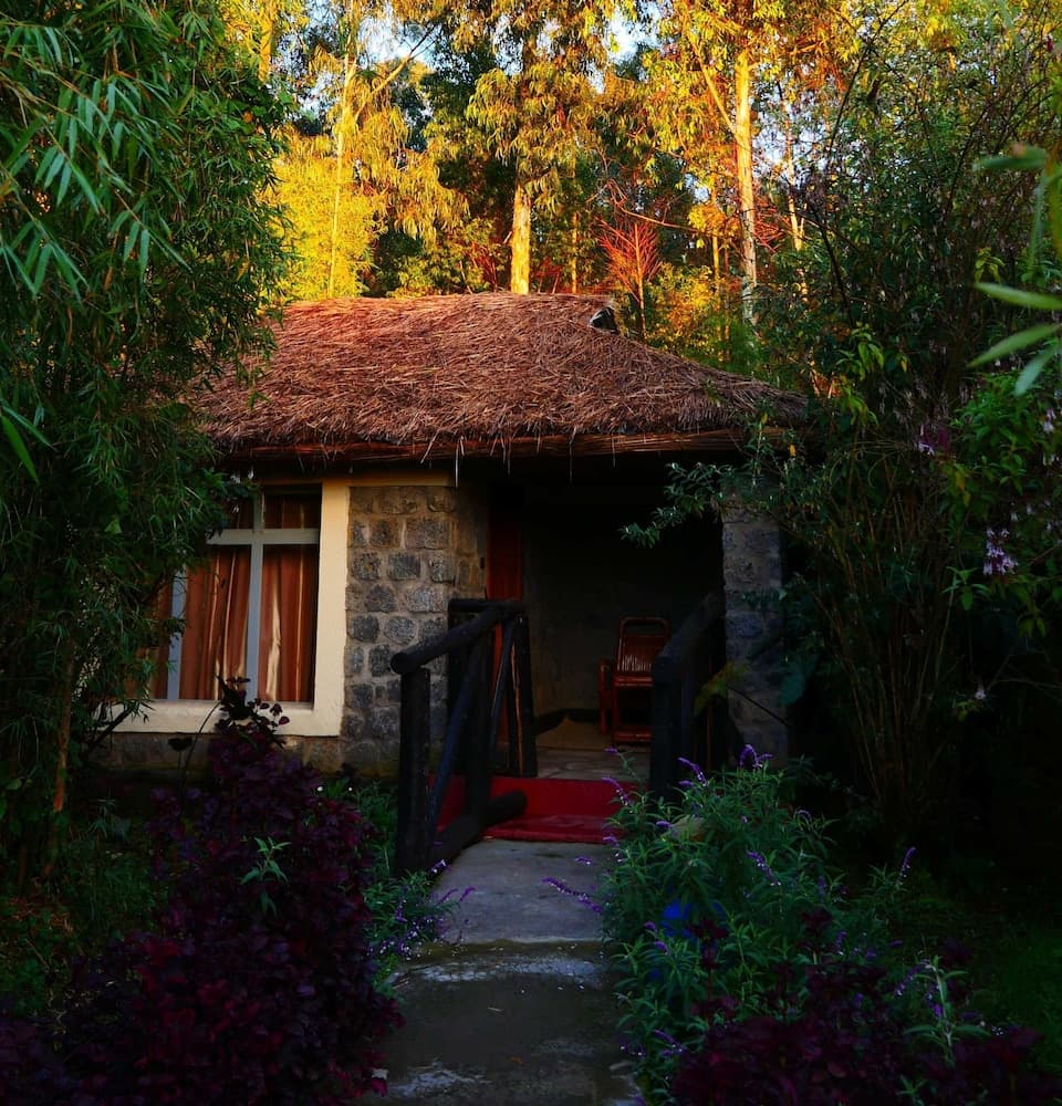 Le Bambou Gorilla Lodge