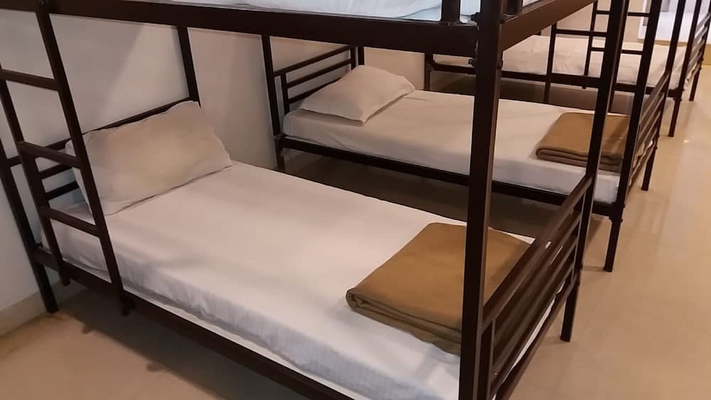 Backpacker The  Orion