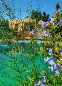 Zembretta Farm-Zembrettita