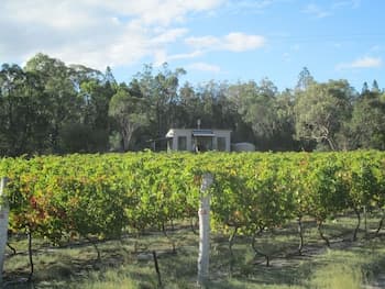 Just Red Wines Vineyard Cabins