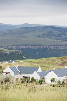 The Living Collective