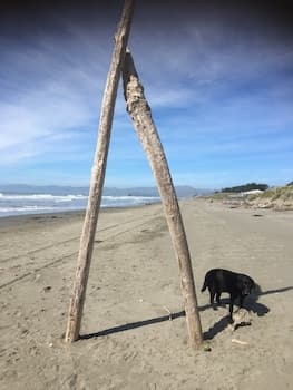 Sandy Feet Accommodation