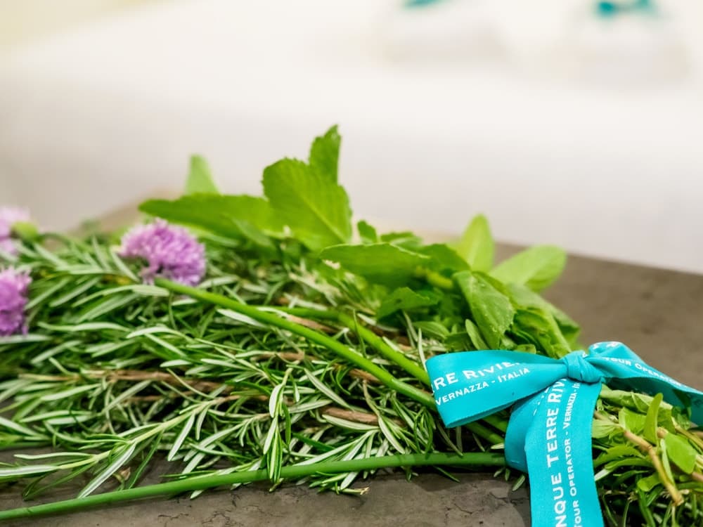 Camaella Luxury Studio