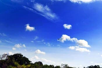 Yala wild corridor camp