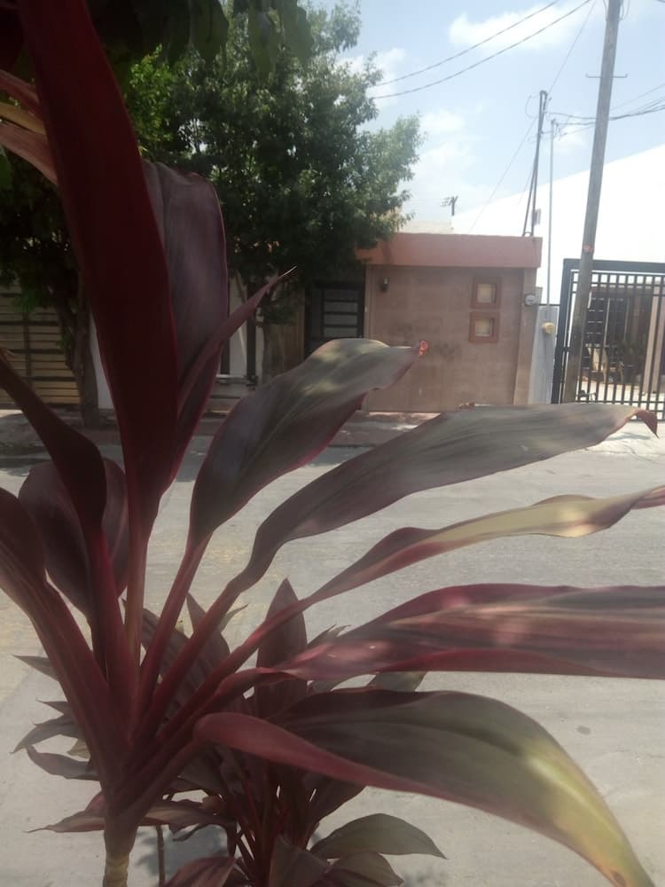 Departamento Nueva Linda Vista