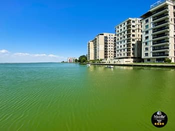 Deluxe Nicolle Solid Residence Mamaia