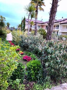 Paradise Luxury Apartments