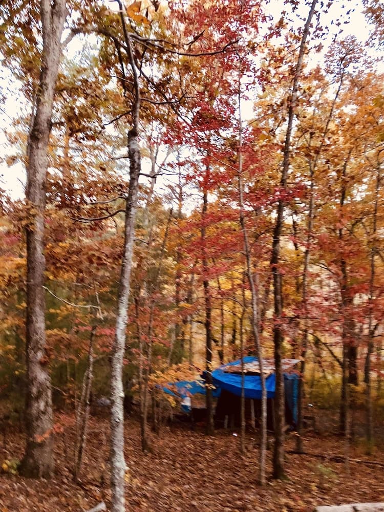 Mountain of Dreams At Lavista Cove