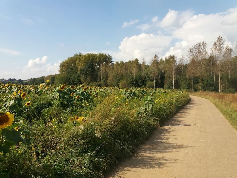 Bed & Breakfast De Vrijheerlyckheid