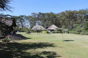 Cactus Eco Camp and Lodge