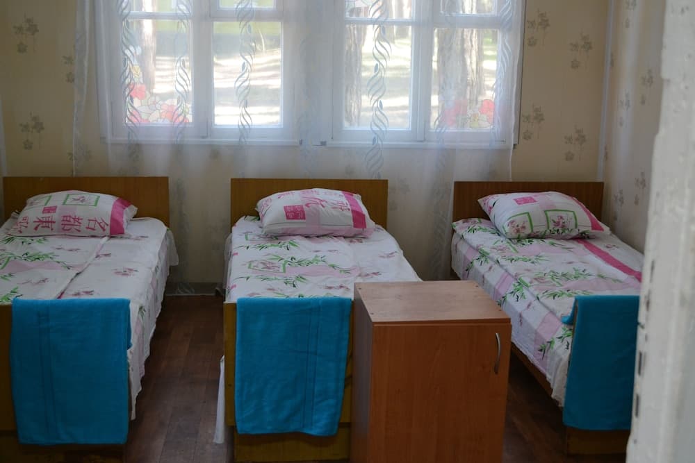 Sosnovaia Poliana Hostel