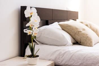 Mevaser - Christian Guest House - Hostel