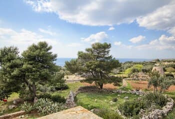 Giuggiola Vista Mare