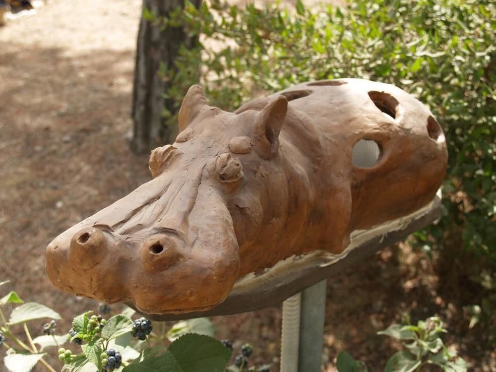 Amfibietreks Camping