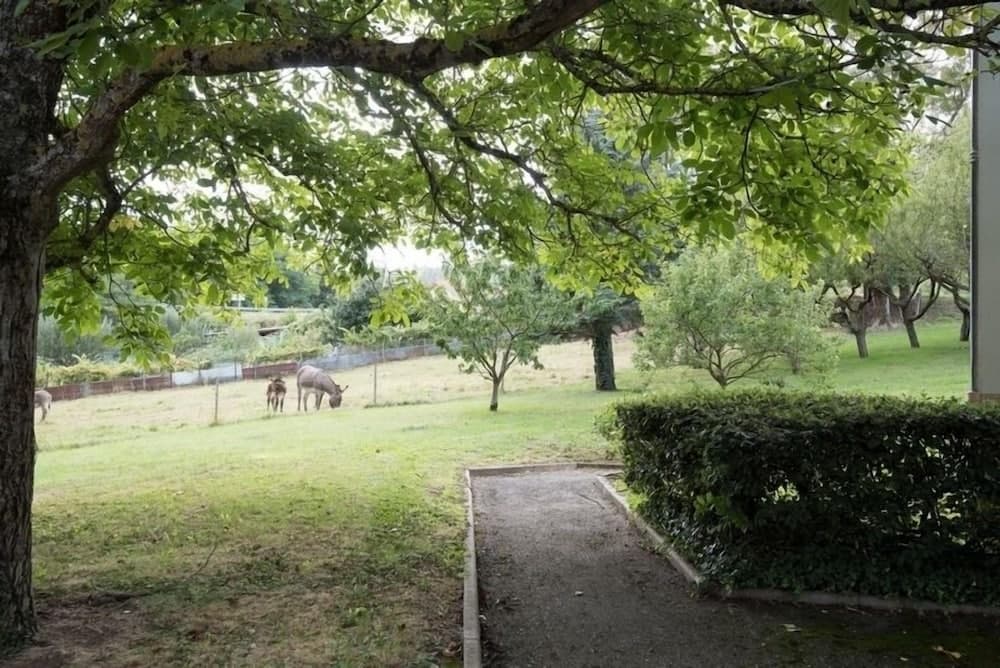 Hôtel-Restaurant l'Artière