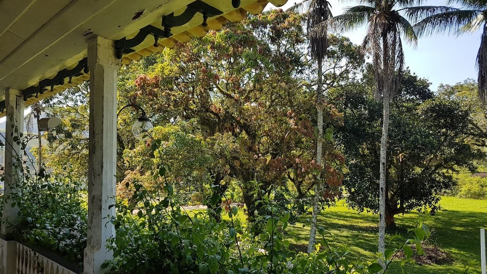 Fazenda São Fernando