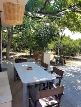 Farm House in Bio Orange Plantation