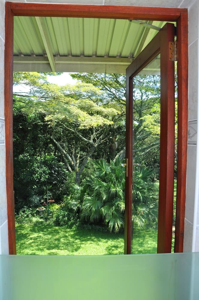 Birds of paradise B&B